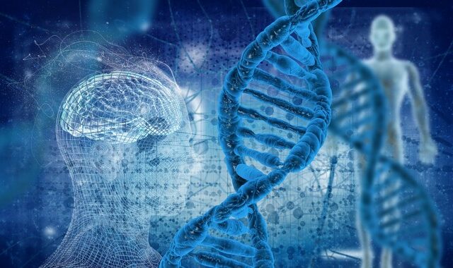 Στο “φως” όλο το DNA – Αποκωδικοποιήθηκε, για πρώτη φορά, το ανθρώπινο γονιδίωμα