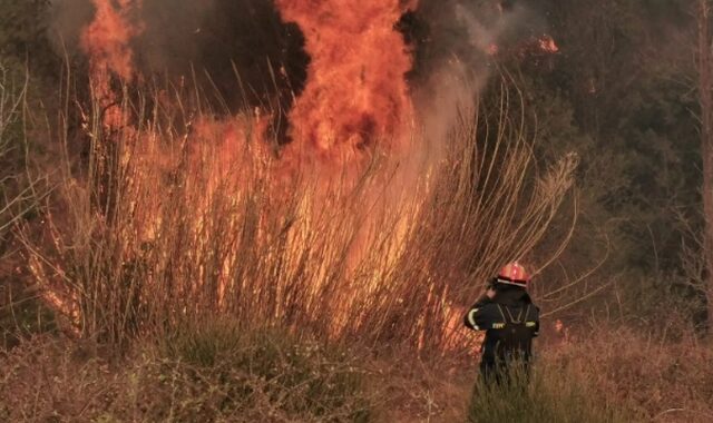 Σάμος: Καλύτερη η εικόνα της φωτιάς με μία ενεργή εστία