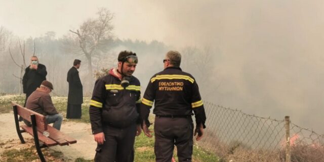 Φωτιά στη Σάμο: Συνελήφθη επ’ αυτοφώρω ηλικιωμένος για εμπρησμό