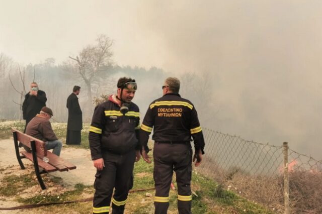 Φωτιά στη Σάμο: Συνελήφθη επ’ αυτοφώρω ηλικιωμένος για εμπρησμό