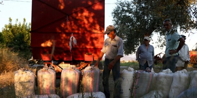 Συναγερμός για την επισιτιστική ασφάλεια της χώρας: Σύσκεψη υπό τον πρωθυπουργό