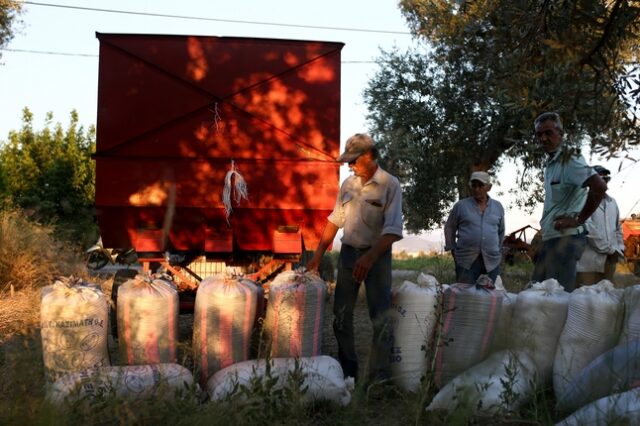 Συναγερμός για την επισιτιστική ασφάλεια της χώρας: Σύσκεψη υπό τον πρωθυπουργό