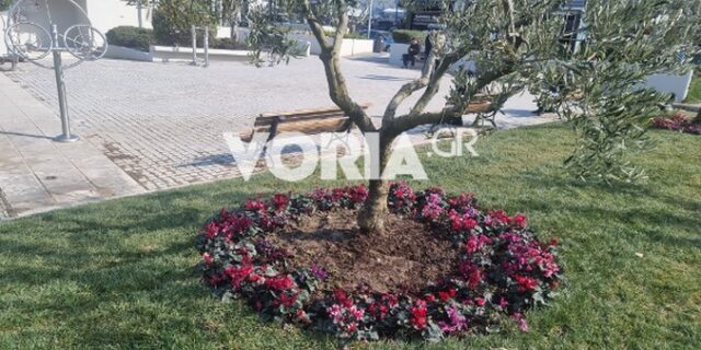 Θεσσαλονίκη – Πάρκο αθλητικής φιλίας: Αφαίρεσαν τις ταμπέλες με τα ονόματα των 3 θυμάτων οπαδικής βίας