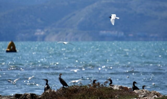 Καιρός: Αίθριος με άνοδο της θερμοκρασίας
