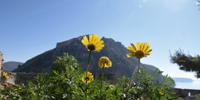 Καιρός: Νεφώσεις, άνεμοι έως 6 μποφόρ και καλές θερμοκρασίες την Κυριακή