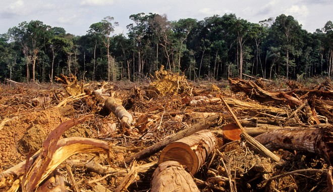 Αμαζόνιος: Τι συμβαίνει με την αποψίλωση στο βραζιλιάνικο τμήμα του