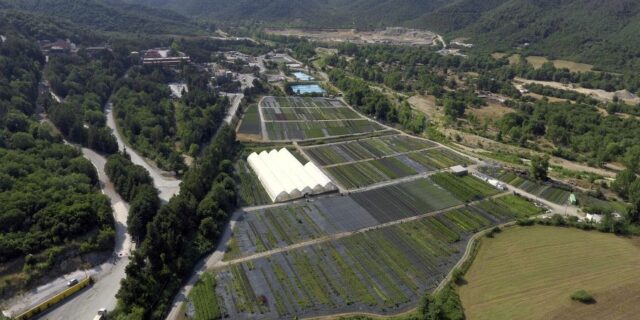 H επιχειρηματική ανάπτυξη «αγκαλιάζει» την ενσωμάτωση των αρχών του ESG