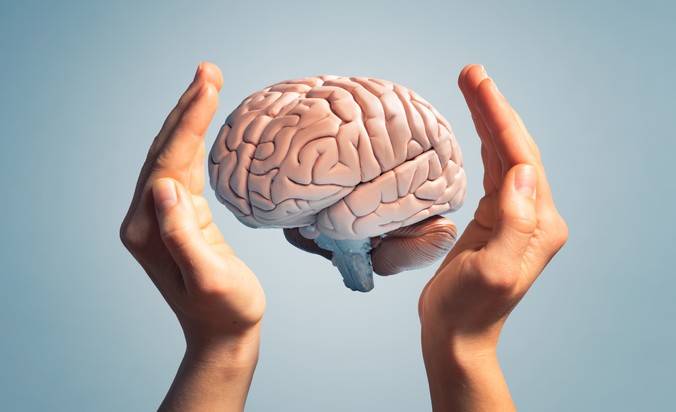 Χαρτογραφήθηκε για πρώτη φορά ο ανθρώπινος εγκέφαλος: Πότε συρρικνώνεται