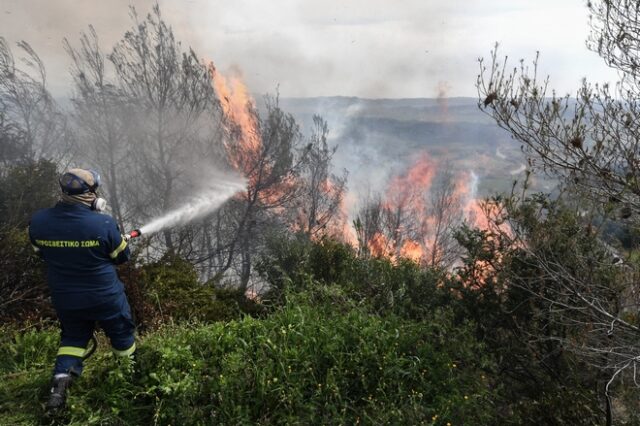 Ηλεία: Μεγάλη φωτιά σε δασική έκταση – Απομάκρυνση κατοίκων από το χωριό Λιβαδάκι