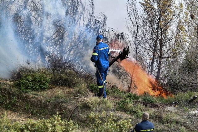 Χαλκιδική: Συναγερμός στην Πυροσβεστική – Φωτιά στη Μόλα Καλύβα