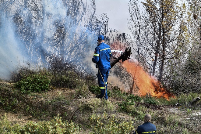 Χαλκιδική: Συναγερμός στην Πυροσβεστική – Φωτιά στη Μόλα Καλύβα