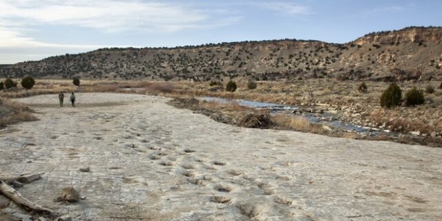 Γιούτα: Κατέστρεψαν ίχνη δεινοσαύρων 112 εκατ. ετών για να φτιάξουν διάδρομο για τουρίστες