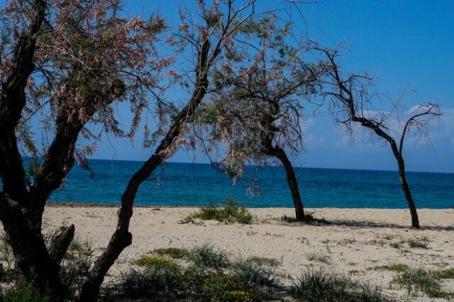 Καιρός: Βελτιωμένος σε όλη τη χώρα με άνοδο θερμοκρασίας έως τους 28 βαθμούς