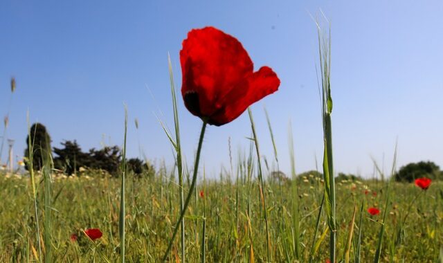 Καιρός: Μικρή πτώση της θερμοκρασίας την Παρασκευή