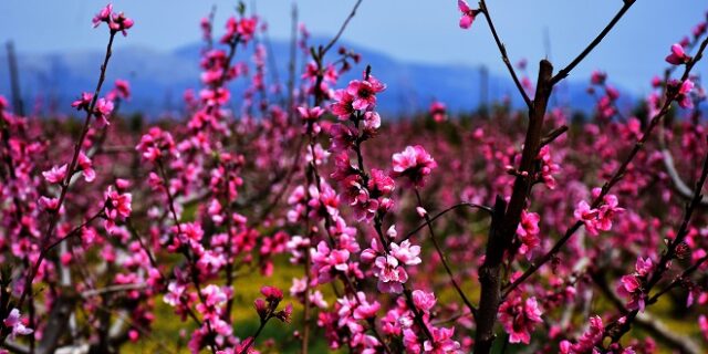 Καιρός: Έως 28 βαθμούς η θερμοκρασία την Τετάρτη