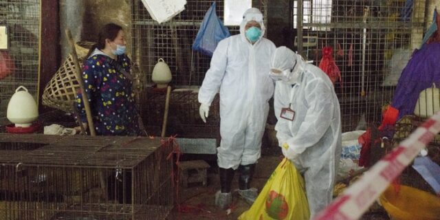 Κίνα: Πρώτο κρούσμα γρίπης των πτηνών H3N8 σε άνθρωπο