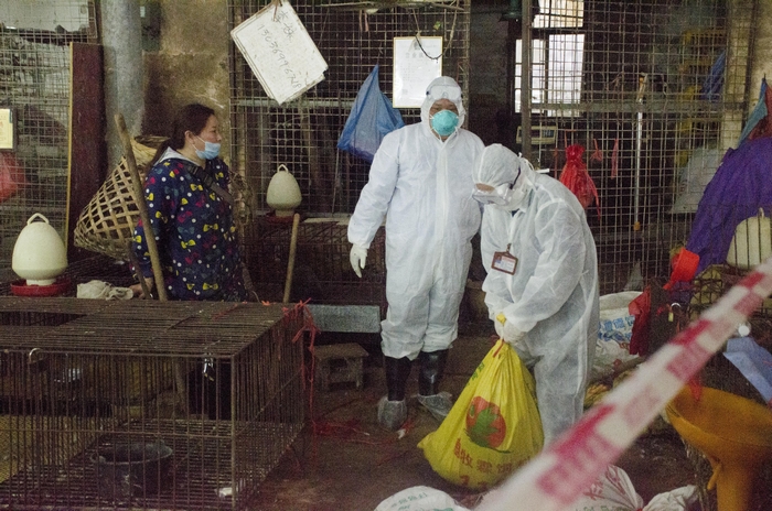 Κίνα: Πρώτο κρούσμα γρίπης των πτηνών H3N8 σε άνθρωπο