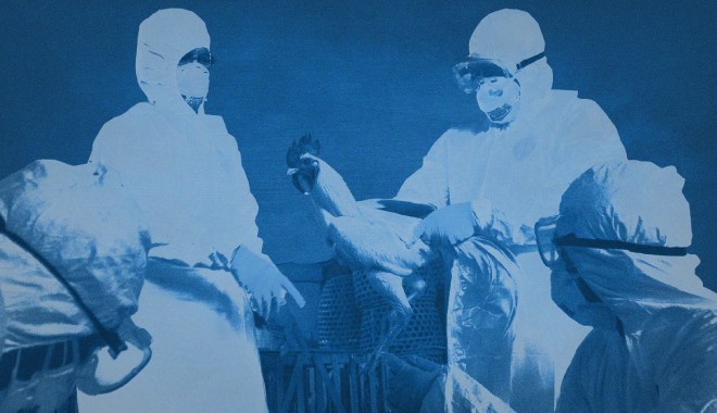 H3N8: 5 πράγματα που γνωρίζουμε για την “γρίπη των πτηνών”