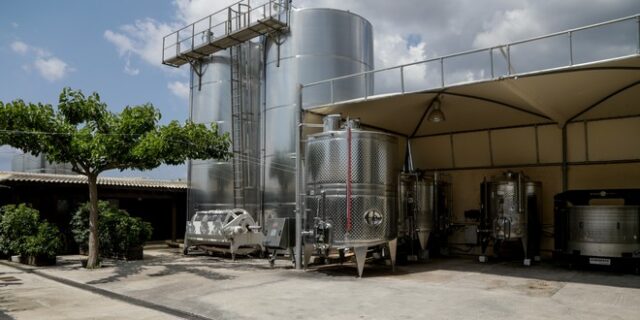 Χρηματοδοτήσεις και δράσεις προωθεί η κυβέρνηση για την ανάπτυξη του Οινοτουρισμού