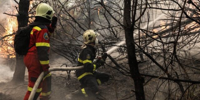 Κορινθία: Φωτιά σε δάσος στην Ευρωστίνη
