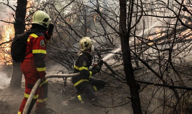 Κορινθία: Φωτιά σε δάσος στην Ευρωστίνη