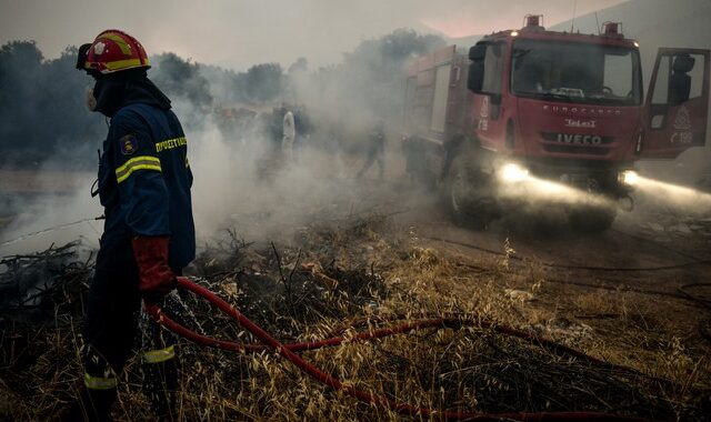 Εύβοια: Υπό μερικό έλεγχο η φωτιά στο Τραχήλι