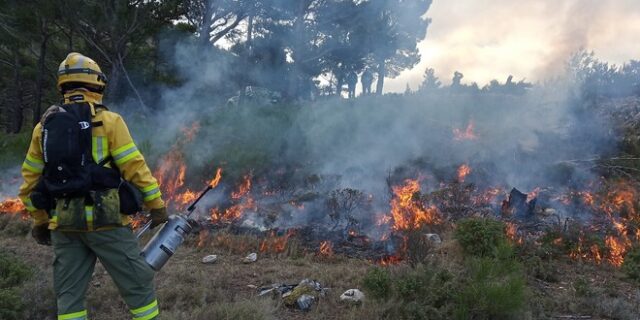 Τι είναι η προδιαγεγραμμένη καύση και πώς μπορεί να αποτελέσει ακόμα ένα όπλο κατά των πυρκαγιών
