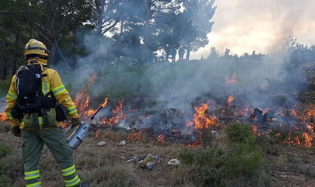 Τι είναι η προδιαγεγραμμένη καύση και πώς μπορεί να αποτελέσει ακόμα ένα όπλο κατά των πυρκαγιών