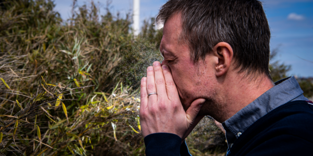 Αλλεργίες: Γιατί κάθε χρόνο ταλαιπωρούμαστε όλο και πιο πολύ