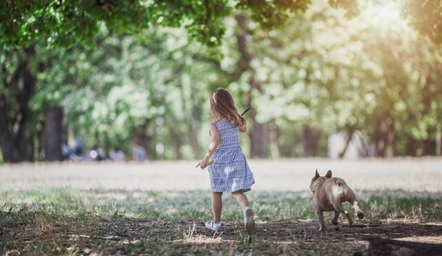 Ηπατίτιδα σε παιδιά: Εξετάζεται σύνδεση με την έκθεση σε σκύλους