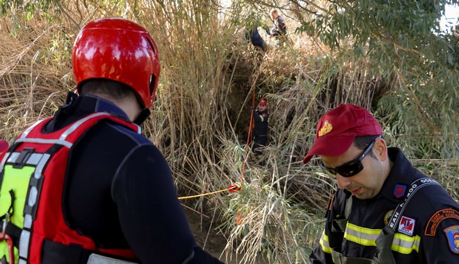 Τραγωδία στην Αχαΐα: Νεκρός εντοπίστηκε βοσκός που έπεσε σε χαράδρα