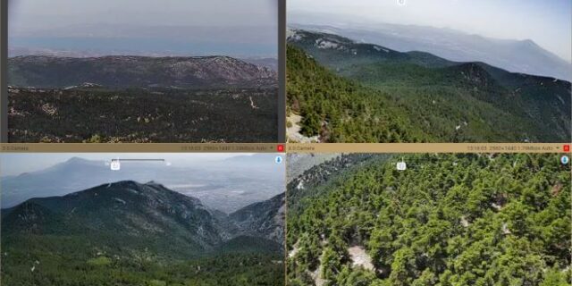 Vodafone Smart Forest: Οι πρώτες εικόνες από το «έξυπνο» δάσος της Πάρνηθας
