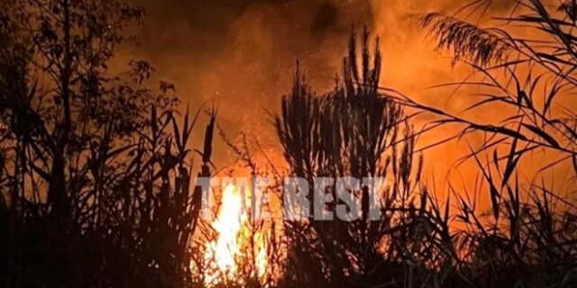 Πάτρα: Φωτιά κοντά στο γήπεδο της Παναχαϊκής