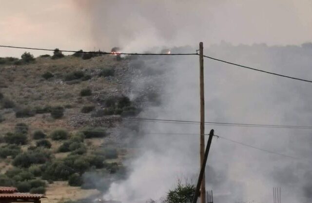 Υπό μερικό έλεγχο η φωτιά στη Μαγούλα