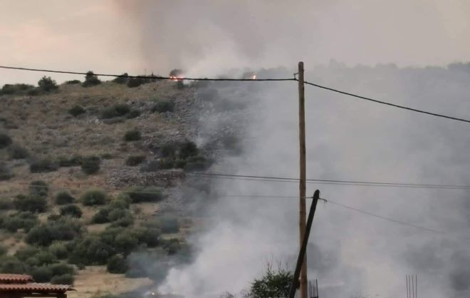 Υπό μερικό έλεγχο η φωτιά στη Μαγούλα