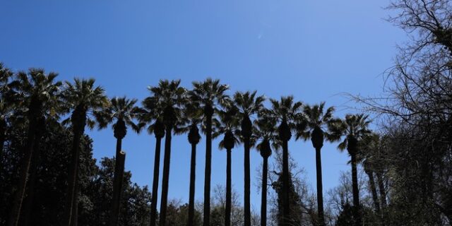 Καιρός: Αισθητή πτώση της θερμοκρασίας στα μέσα της εβδομάδας