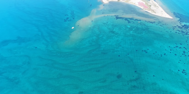 “Παγωμένα” κύματα: Το σπάνιο φαινόμενο στα νερά της Αττικής