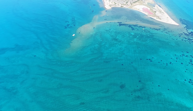 “Παγωμένα” κύματα: Το σπάνιο φαινόμενο στα νερά της Αττικής