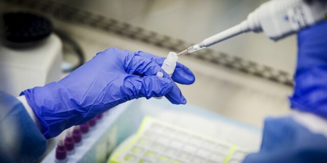 Ευλογιά των πιθήκων: 200 κρούσματα σε πάνω από 20 χώρες – Αυξημένη παρακολούθηση ζητά ο ΠΟΥ