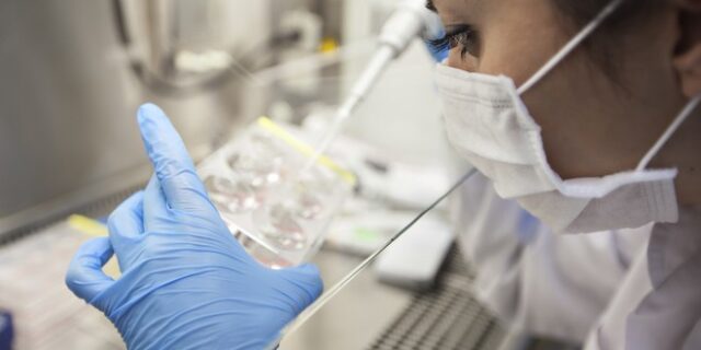Ευλογιά των πιθήκων: Συναγερμός μετά το πρώτο κρούσμα-Τι πρέπει να προσέχουμε