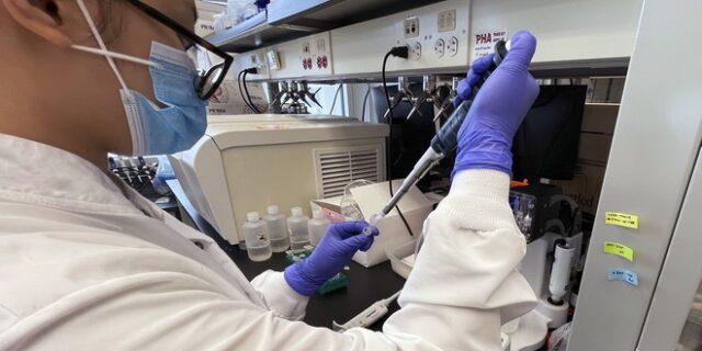 Το νέο τεστ ELISA ανιχνεύει τα αντισώματα του κορονοϊού στα ούρα και όχι στο αίμα
