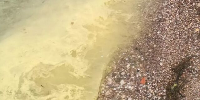Πάτρα: Οι παραλίες της πόλης βάφτηκαν κίτρινες – Πού οφείλεται το χρώμα