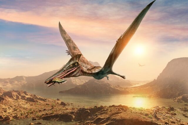 Δράκος του Θανάτου: Το τρομακτικό ιπτάμενο ερπετό που έζησε πριν από 86 εκατομμύρια χρόνια
