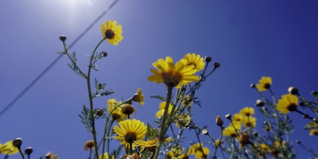 Καιρός: Βελτιωμένος στις περισσότερες περιοχές – Ανεβαίνει ο υδράργυρος