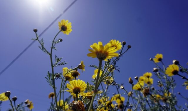 Καιρός: Βελτιωμένος στις περισσότερες περιοχές – Ανεβαίνει ο υδράργυρος