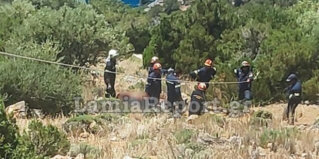 Βοιωτία: Σκαπτικό μηχάνημα έπεσε σε γκρεμό – Νεκρός ο χειριστής του