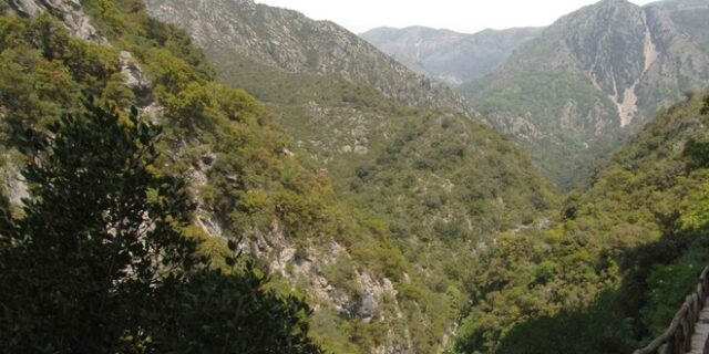 Θεσπρωτία: Σώος εντοπίστηκε ο 83χρονος που αγνοείτο σε ορεινή περιοχή του Σουλίου