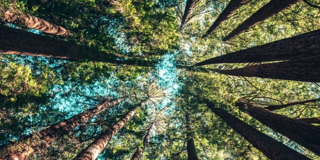 Επιδότηση Συσκευών: Τα οφέλη του προγράμματος για νοικοκυριά και Περιβάλλον