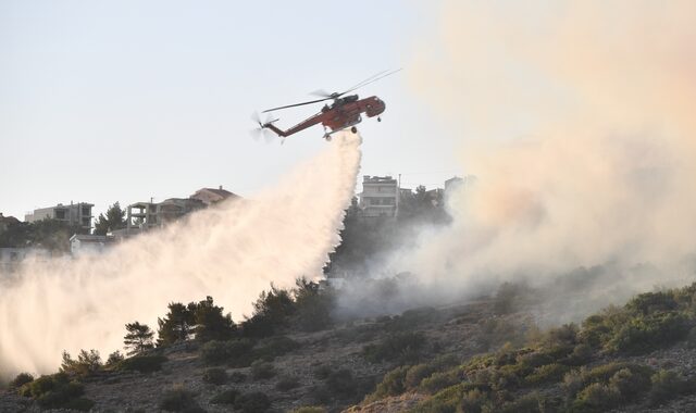 Πάνω από 1.800 δασικές φωτιές από την έναρξη της αντιπυρικής περιόδου και 120 συλλήψεις εμπρηστών