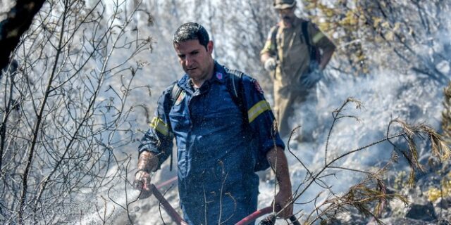 Τις 39 έφτασαν την Κυριακή οι φωτιές σε δασικές εκτάσεις